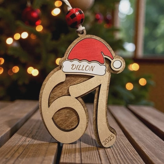 Trending 67 ornament